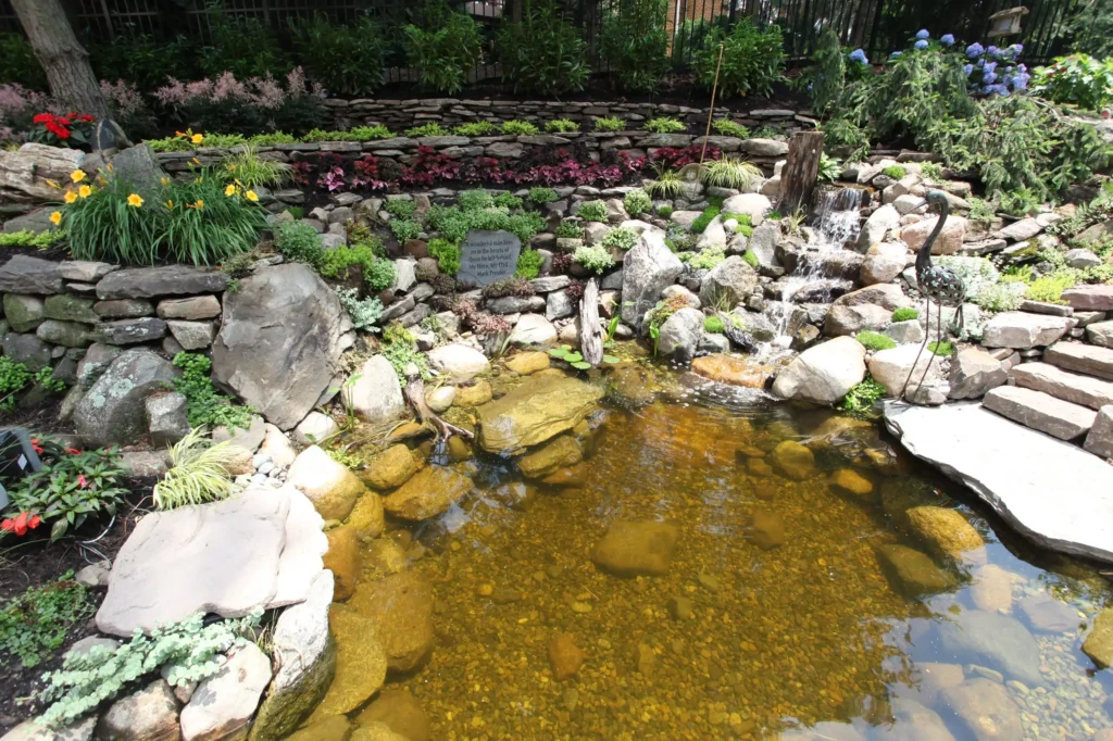 Backyard Pool10