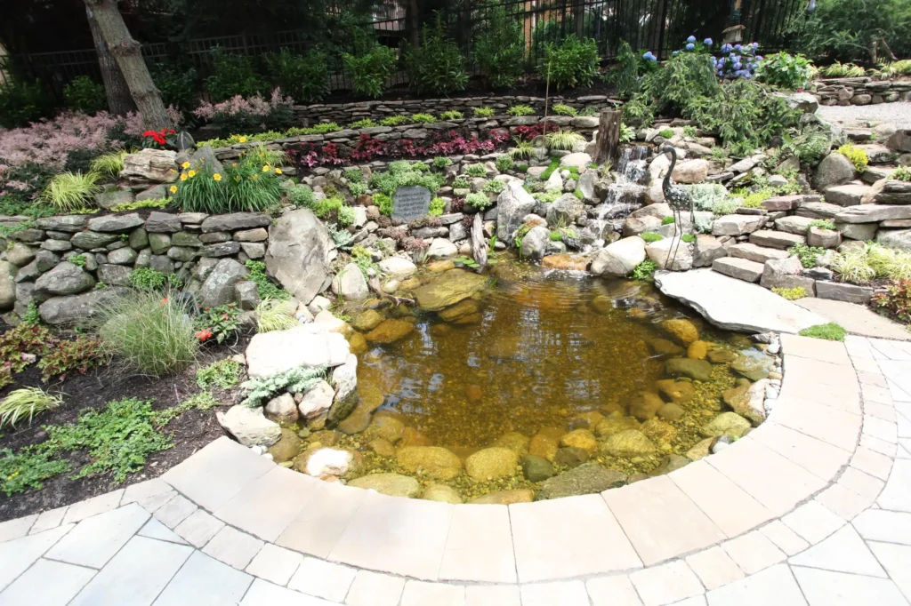Backyard Pool8