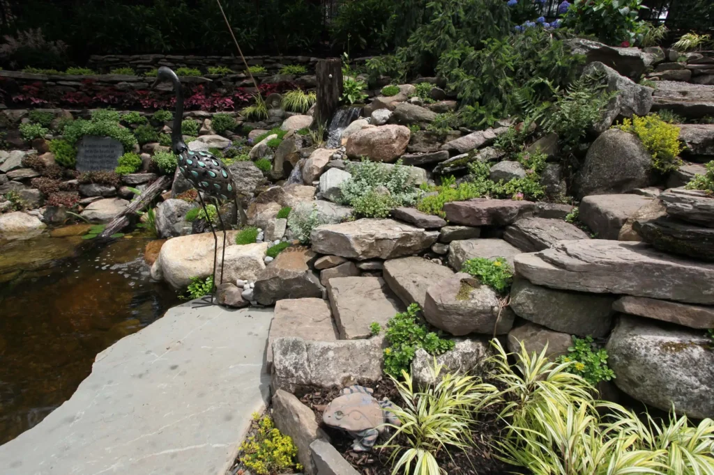 Backyard Pool7