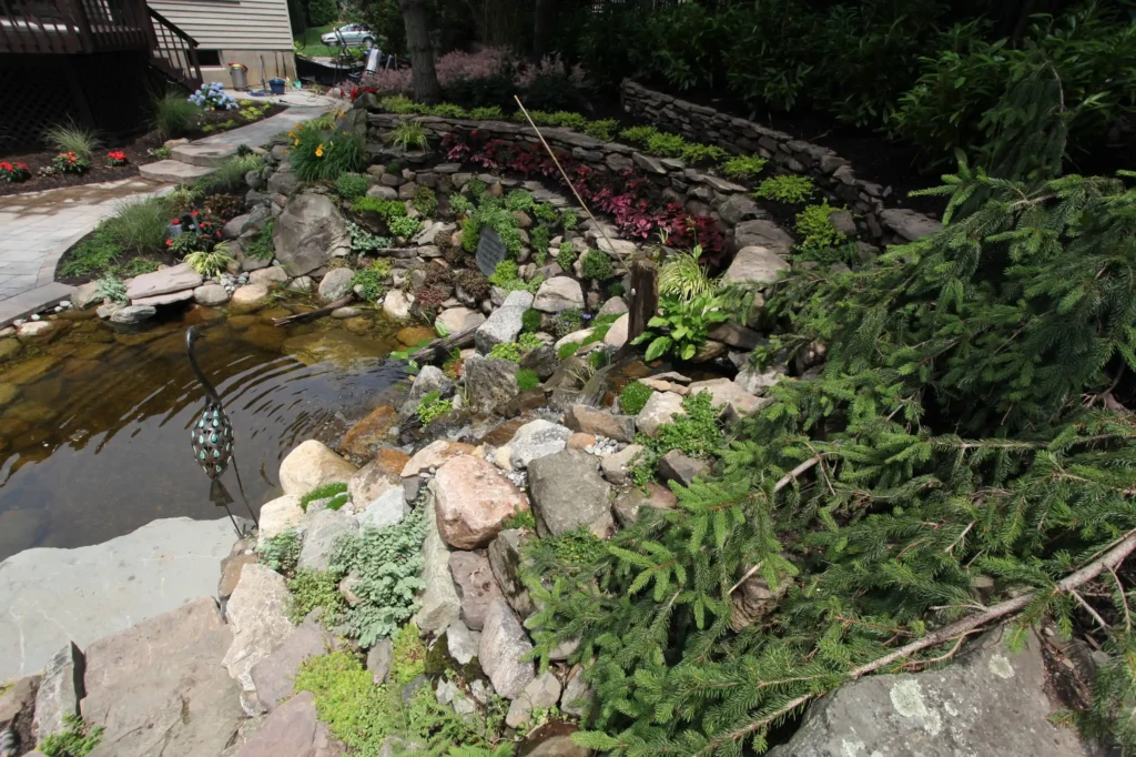 Backyard Pool 6