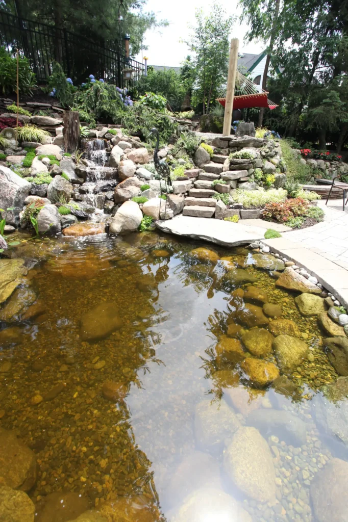 Backyard Pool5