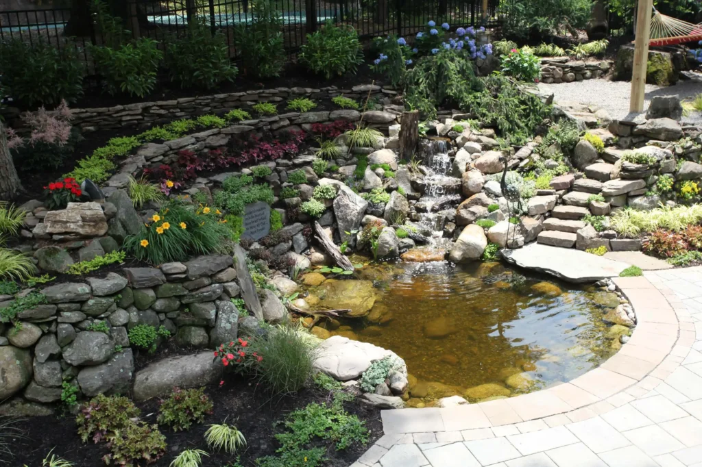 Backyard Pool15
