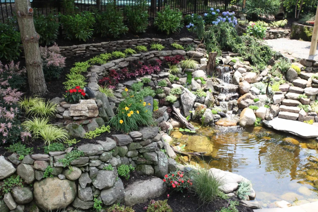 Backyard Pool14